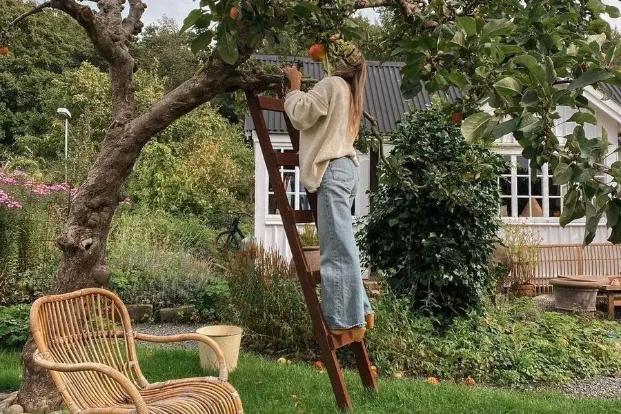 Watching hundreds of videos on the countryside, you may think that life is much better in the countryside.