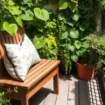 A balcony garden offers a perfect solution for city dwellers looking to enjoy the beauty and benefits of plants without a yard.